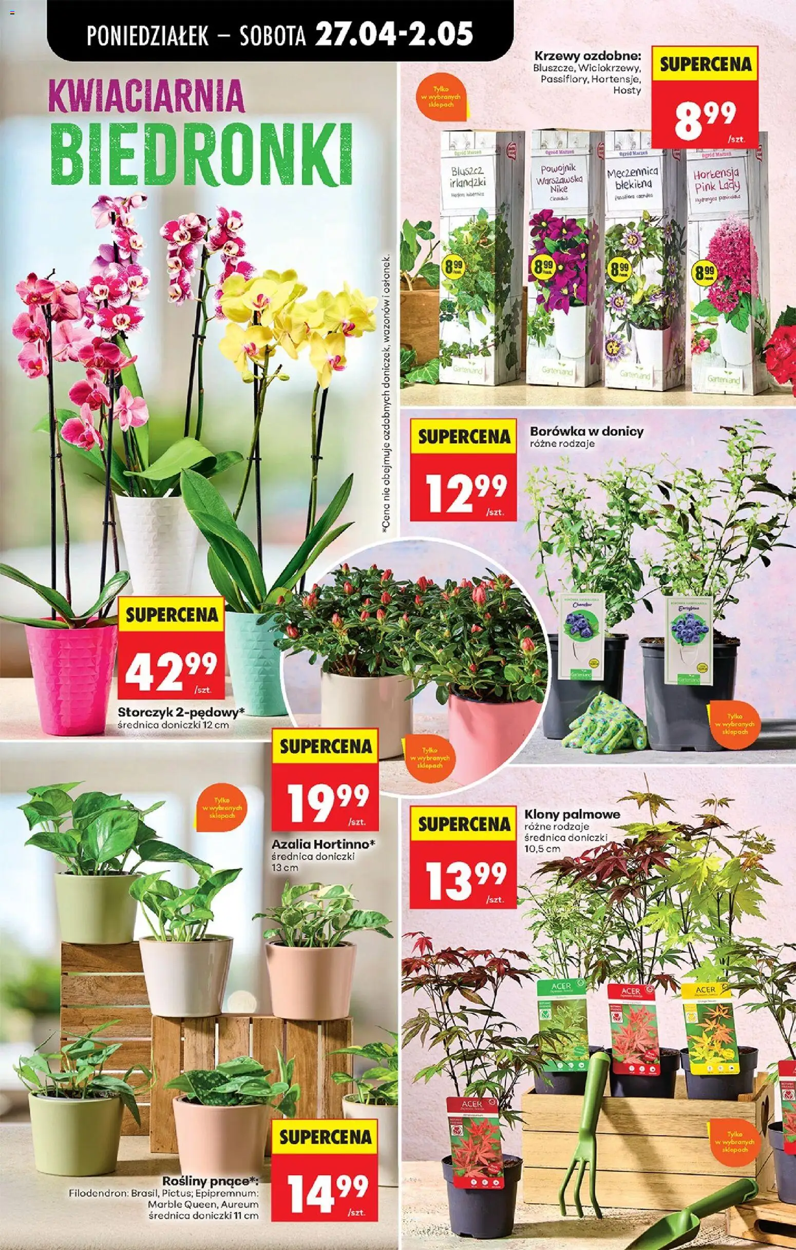 Biedronka gazetka od poniedziałku od 27.04.2026 | Strona: 102 | Produkty: Azalia, Rosliny, Doniczki, Storczyk