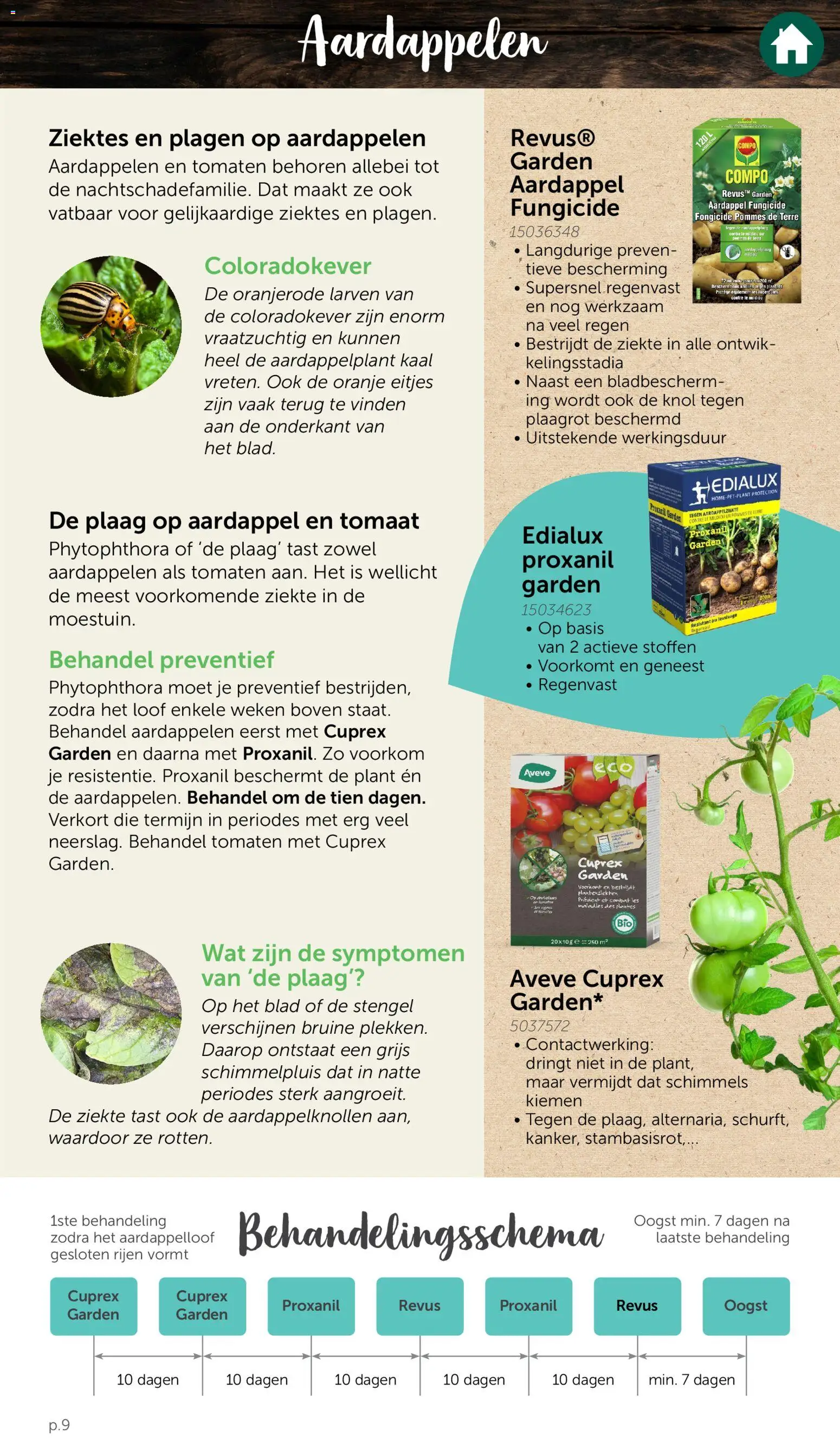{H1} | Pagina: 9 | Producten: Tomaten, Aardappel, Tomaat