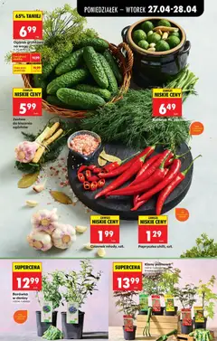 Pogląd oferty "Biedronka gazetka od poniedziałku" - ważna od 27.04.2026 | Strona: 51