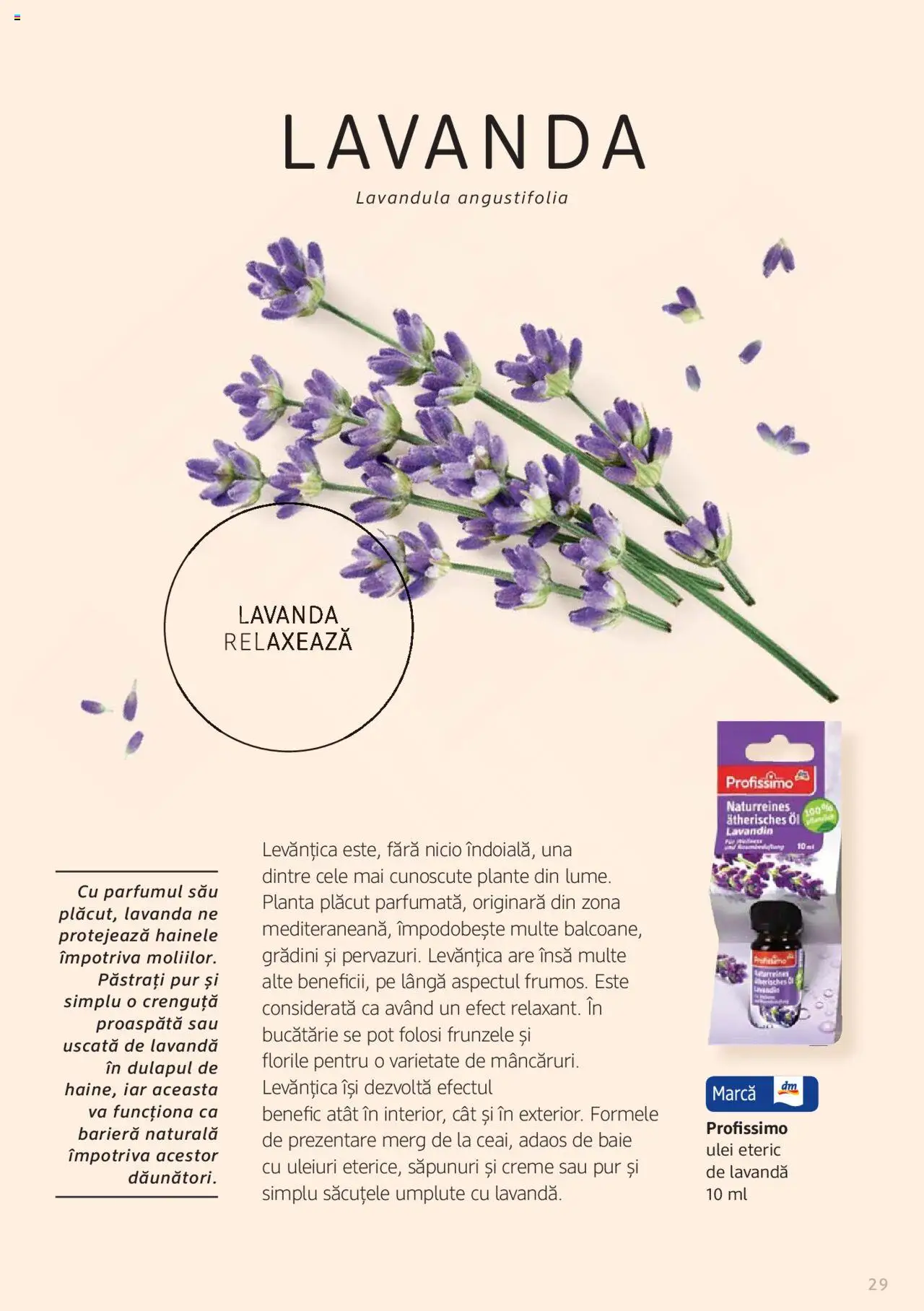 Noul catalog DM drogeriemarkt – valabil de la 01.01.2022 | Pagină: 29