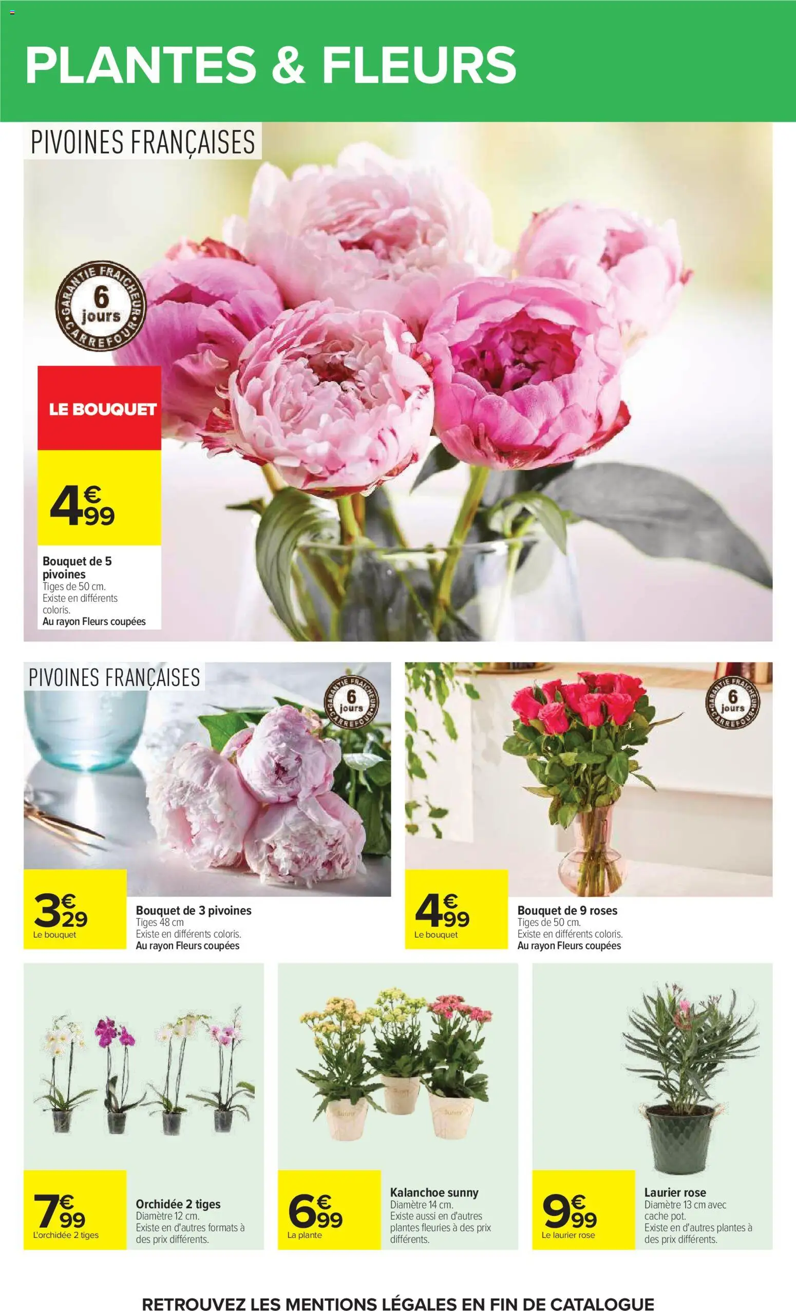 {H1} | Page: 86 | Produits: L'orchidée, Laurier Rose, Plantes, Thé