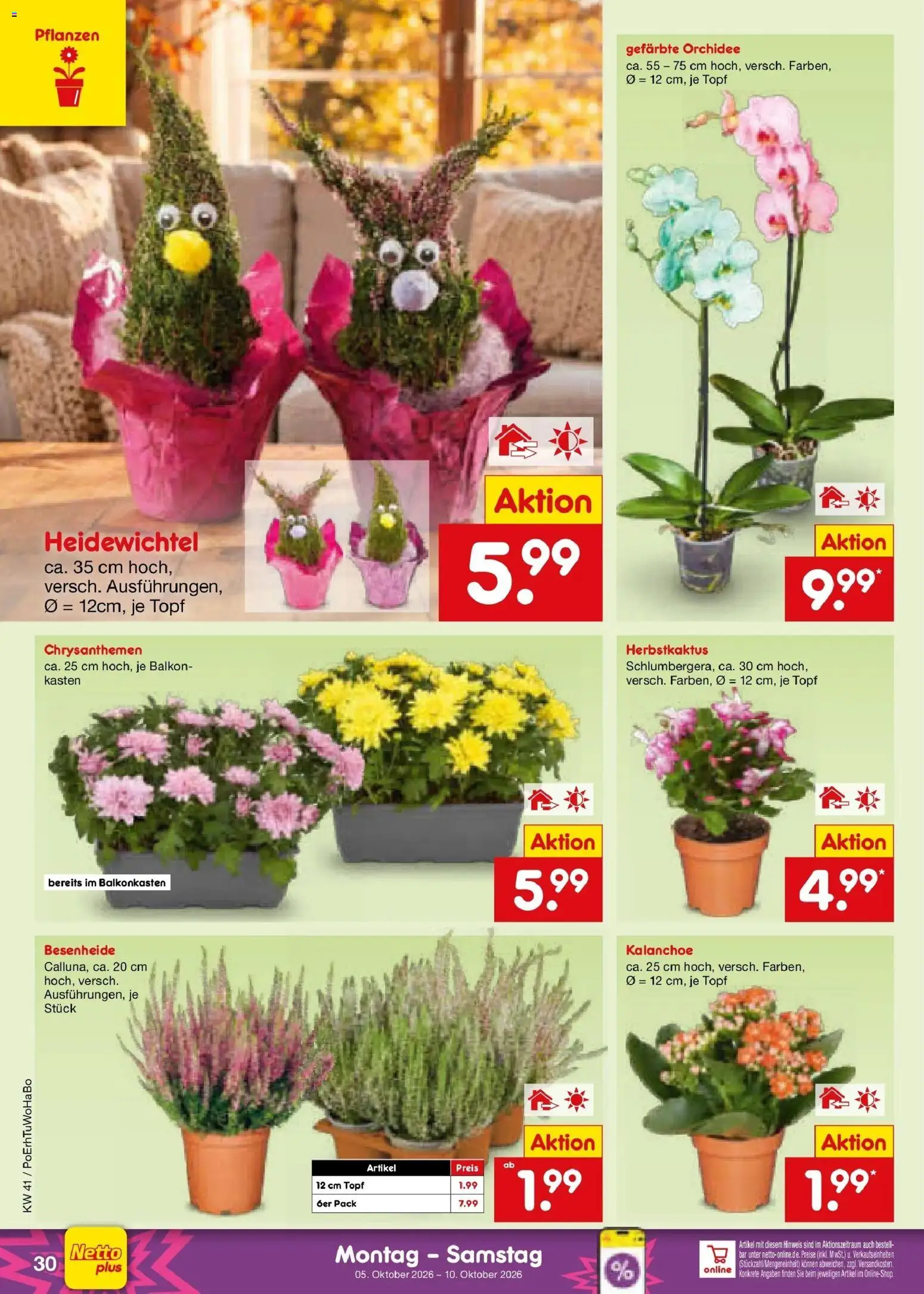 Netto Marken-Discount Prospekt Ludwigshafen-Edigheim (ab 05.10.2026) » Angebote | Seite: 38 | Produkte: Orchidee