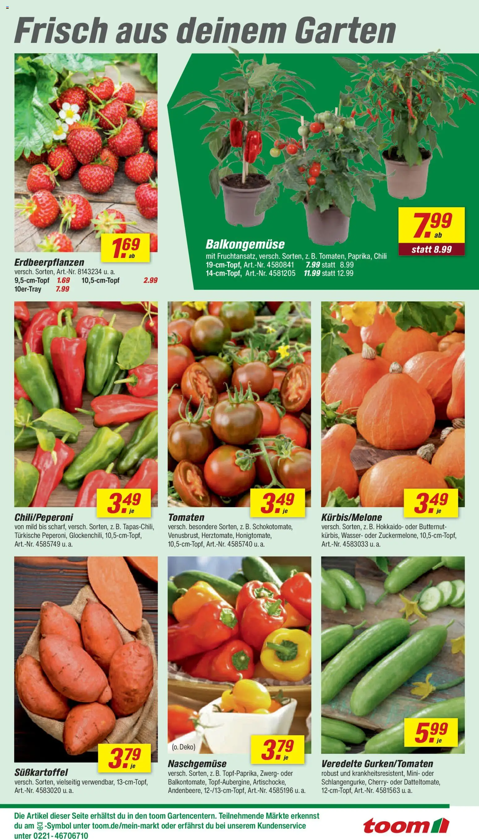 Toom Baumarkt Meiningen Produkte