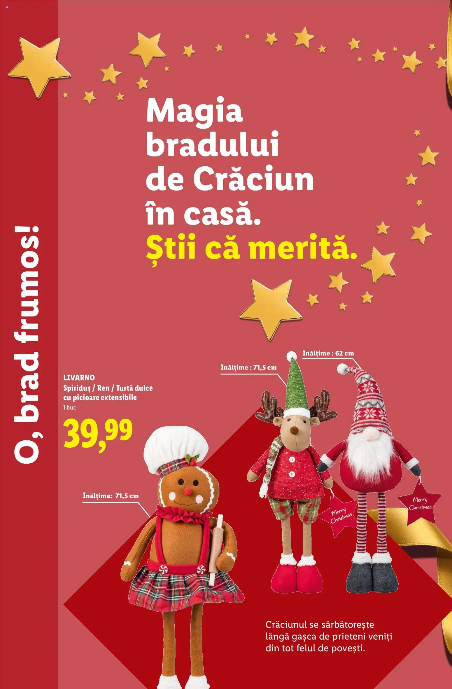 Noul catalog Lidl – valabil de la 05.11.2026 | Pagină: 50 | Produse: Turtă dulce