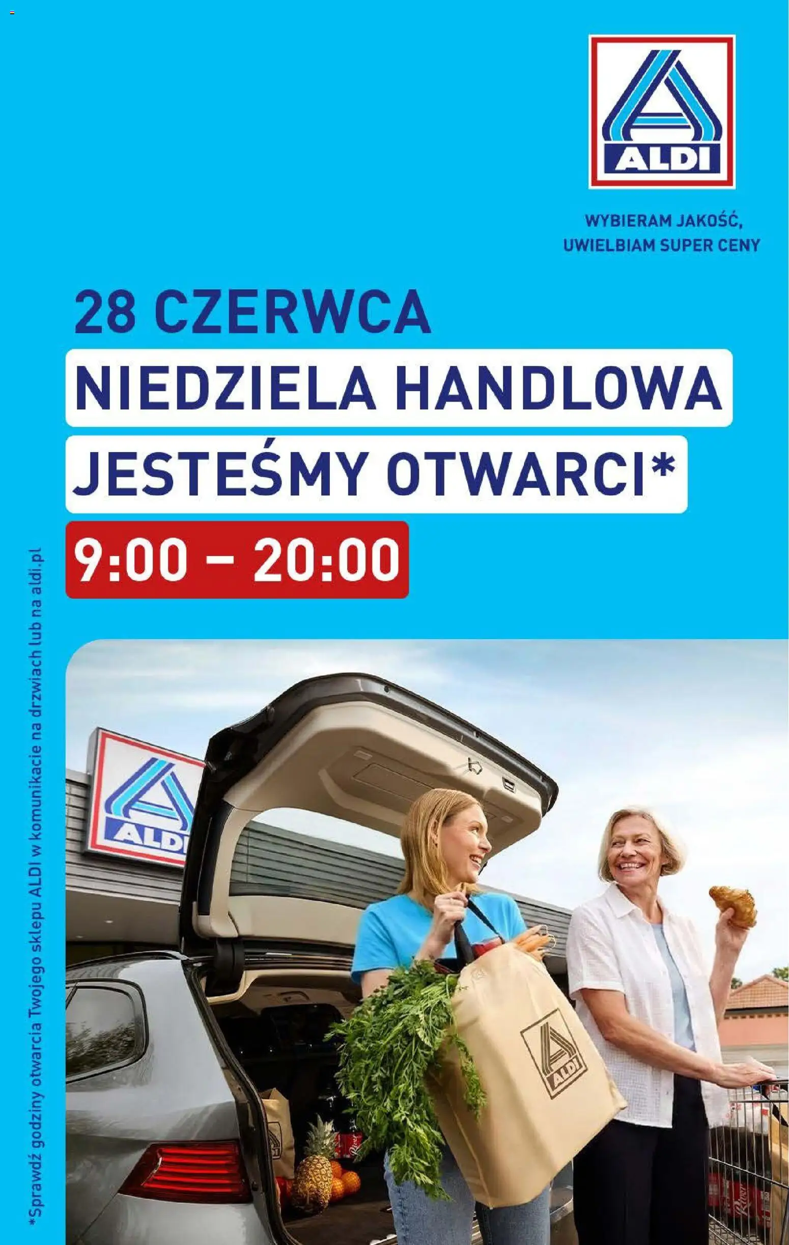 Aldi gazetka od 22.06.2026 | Strona: 41