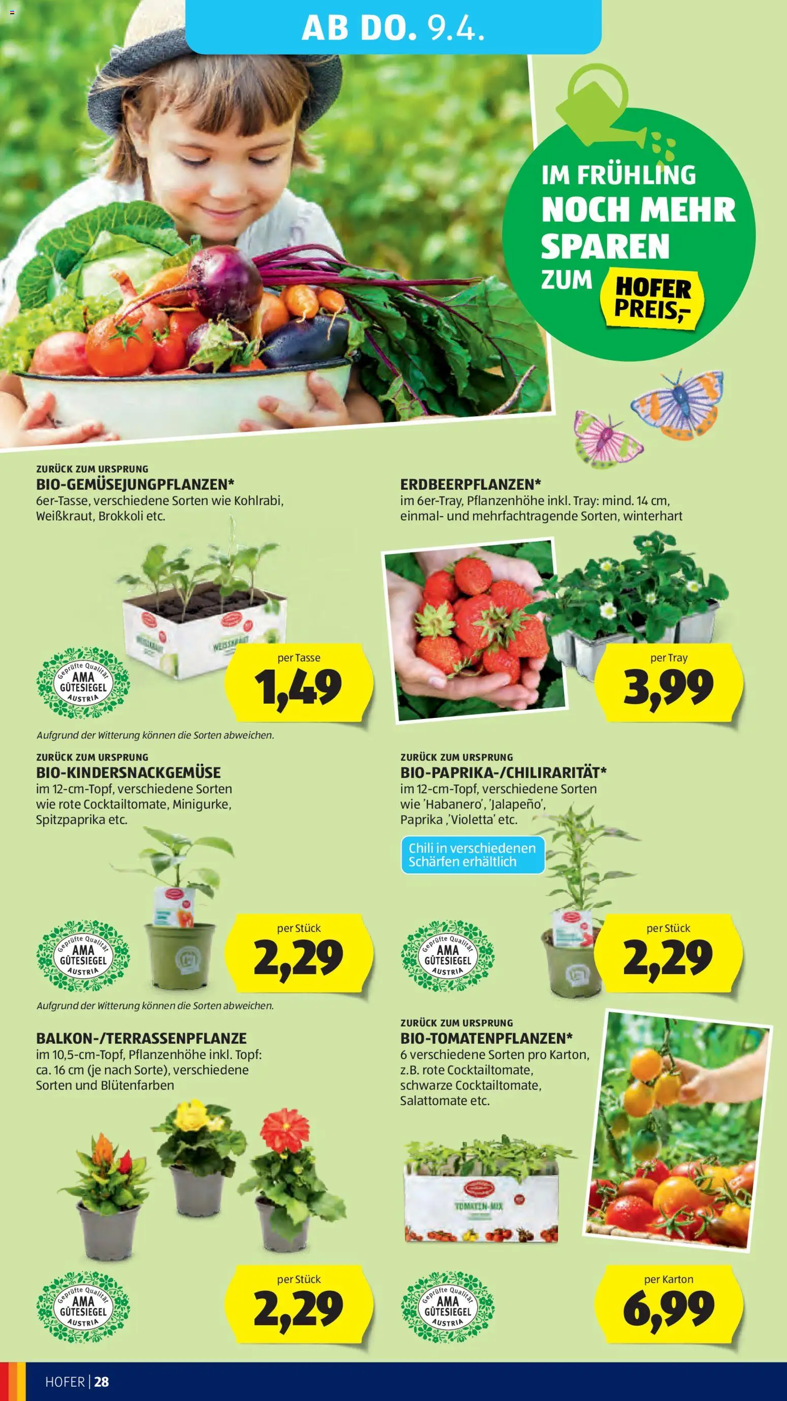Hofer Flugblatt gültig ab 01.04.2026 | Seite: 32 | Produkte: Chili, Tomaten