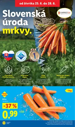 Lidl leták platný od 22.06.2026 | Strana: 58