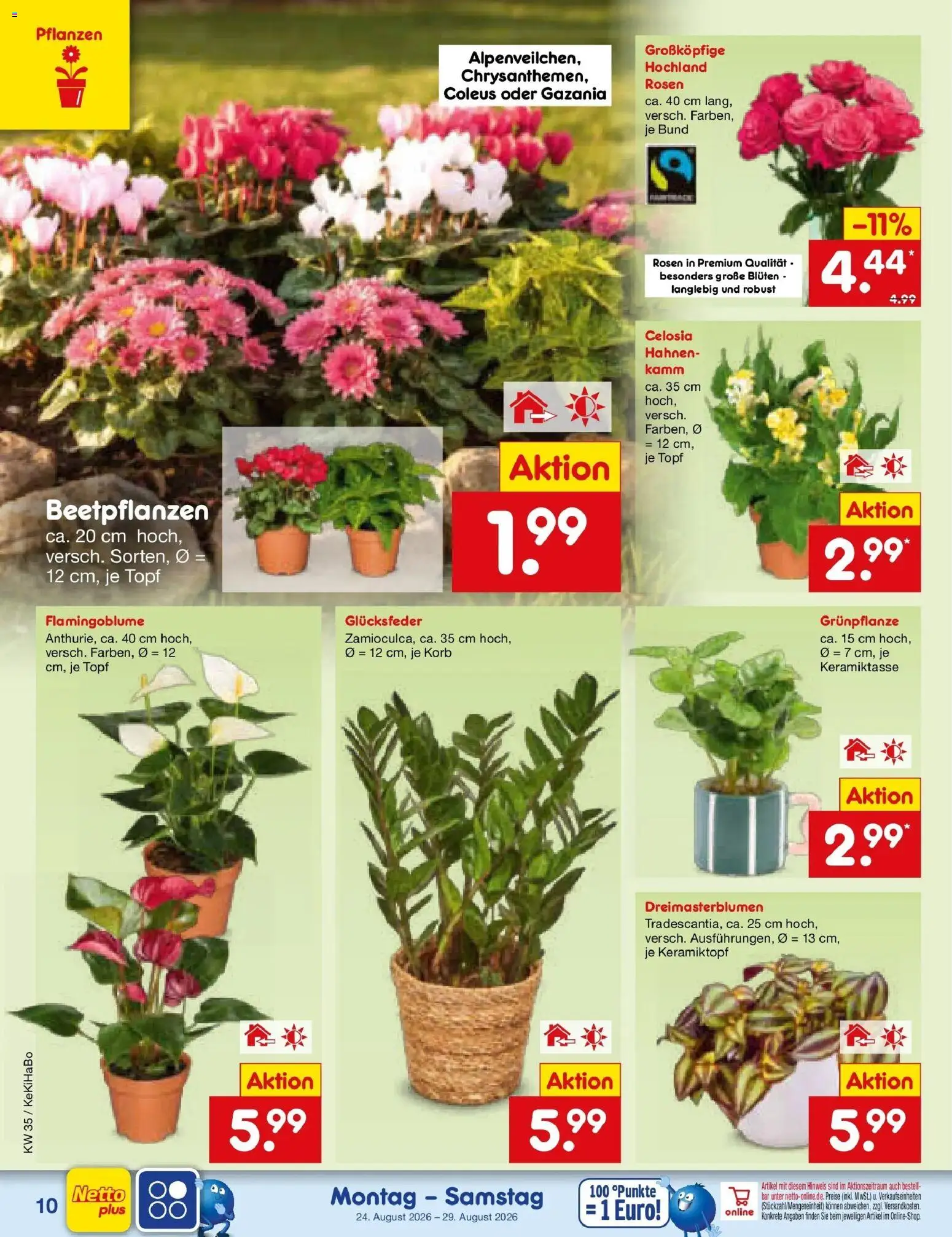 Netto Marken-Discount Prospekt Unna (ab 24.08.2026) » Angebote | Seite: 14 | Produkte: Korb