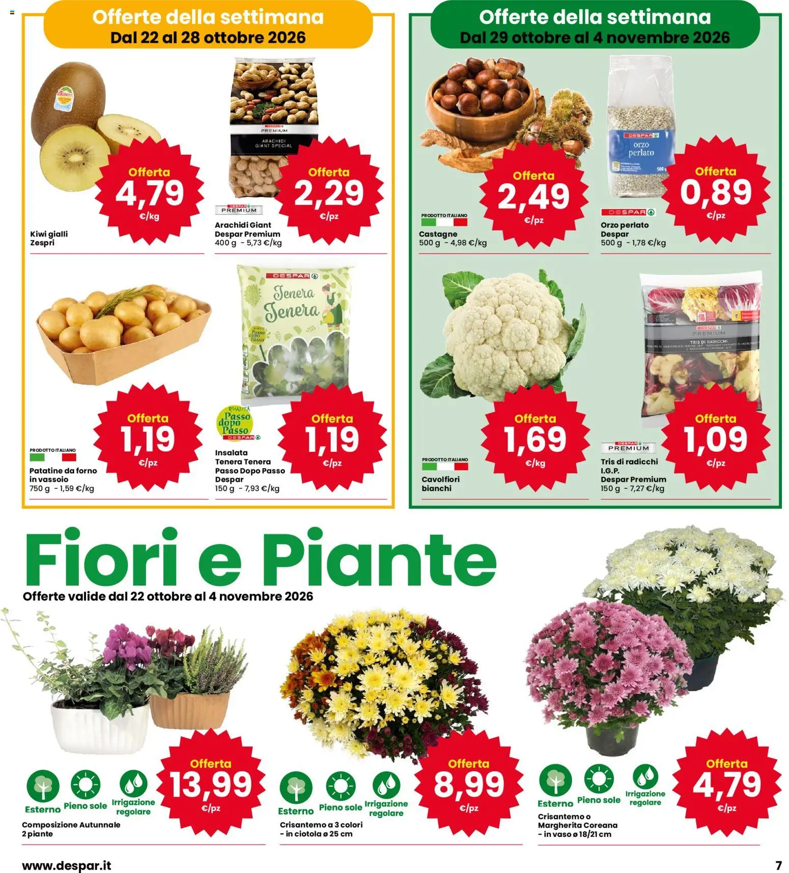 Volantino Eurospar del 22/10/2026 | Pagina: 7 | Prodotti: Kiwi, Fiori, Vassoio, Ciotola
