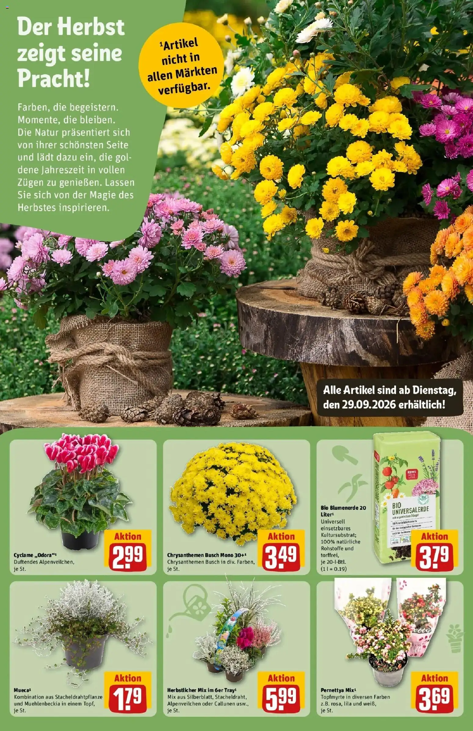 REWE Prospekt ab 28.09.2026 zum Blättern » Angebote | Seite: 15 | Produkte: Blumenerde