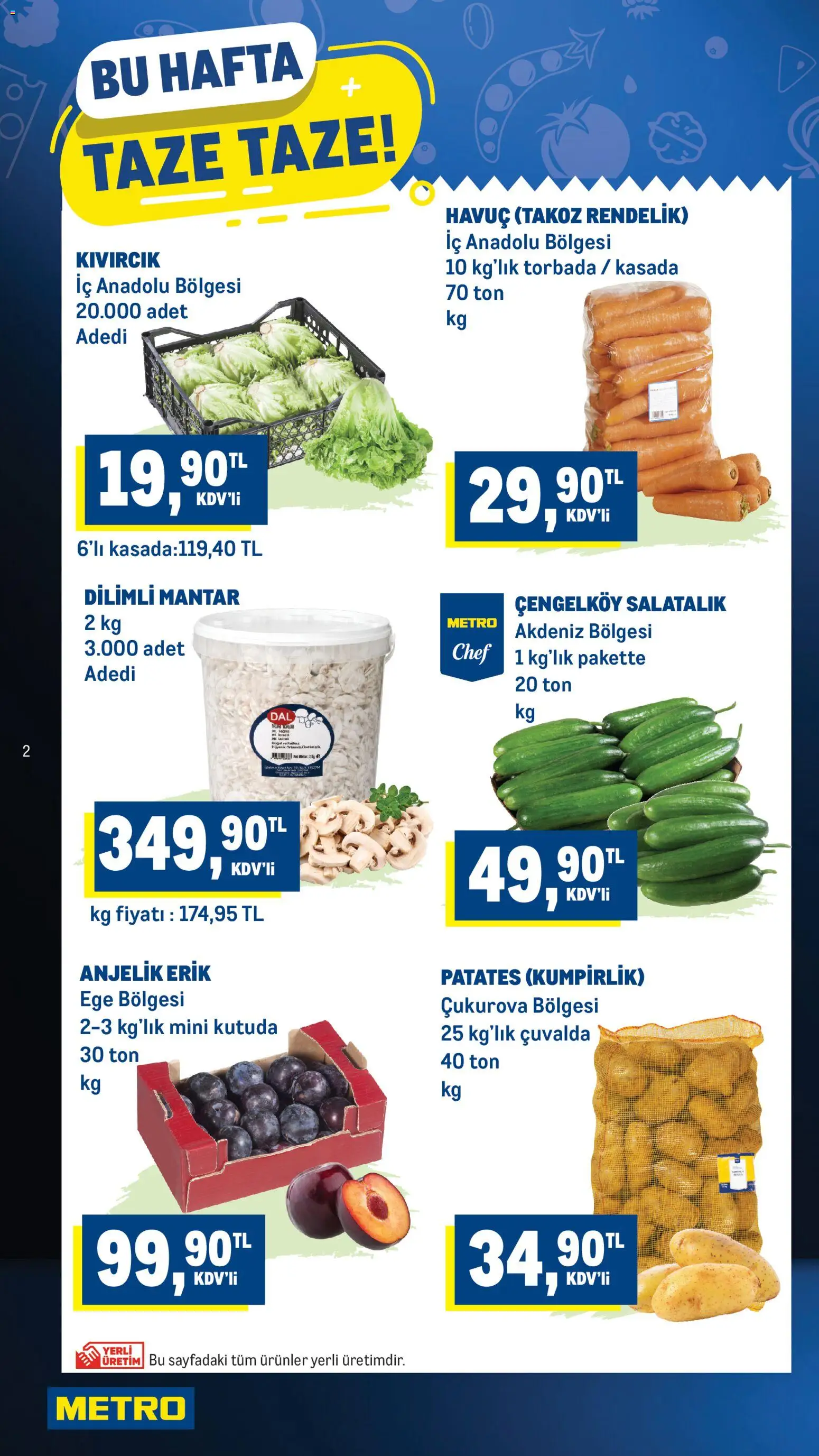 Metro Katalog - 08 Temmuz 2026 tarihinden itibaren geçerlidir | Sayfa: 2 | Ürünler: Erik, Salatalık, Patates, Mantar