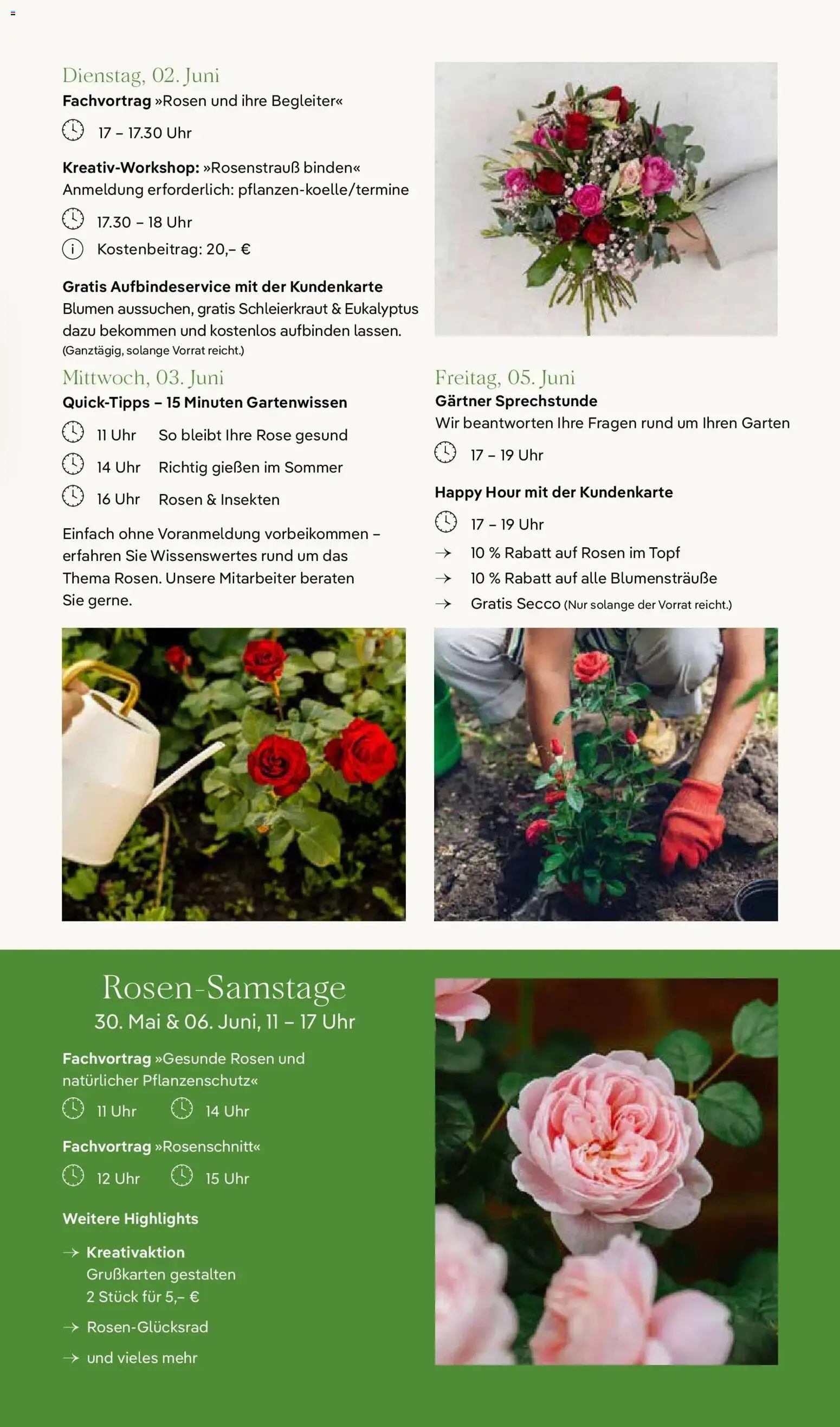 Pflanzen-Kölle Rosenerlebniswochen Teltow – gültig ab 26.05.2026 | Seite: 9 | Produkte: Blumen, Uhr