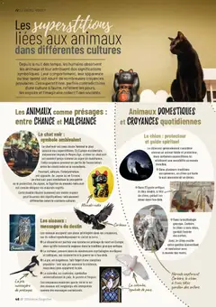 VillaVerde - Prévisualisation de VillaVerde catalogue animalerie valide à partir de 28/05/2026 | Page: 46 | Produits: Mais