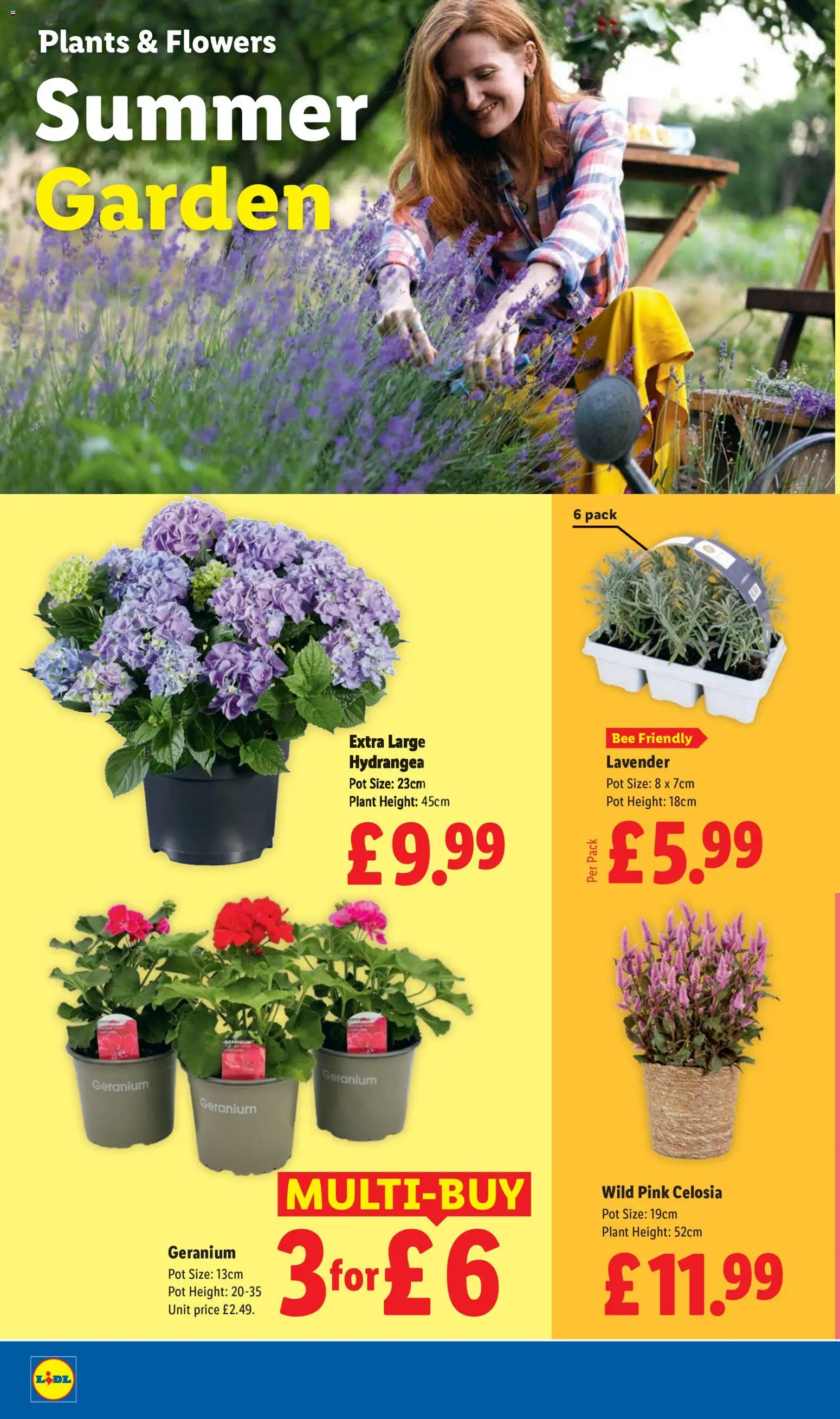 {H1} | Page: 22 | Products: Pot, Lavender, Flowers