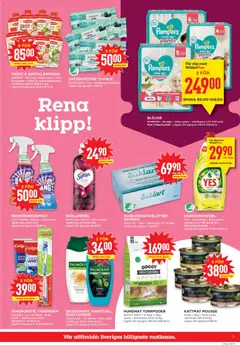 Willys erbjudanden - Förhandsvisning av reklamblad från butik Willys aktuell från 14/09/2026 | Sida: 7 | Produkter: Frukt, Mousse, Gröt, Hundmat