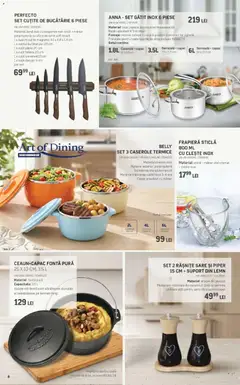 Ofertele Selgros valabile de la 05.06.2026 | Pagină: 8 | Produse: Clește, Zımba teli, Scară, Sare