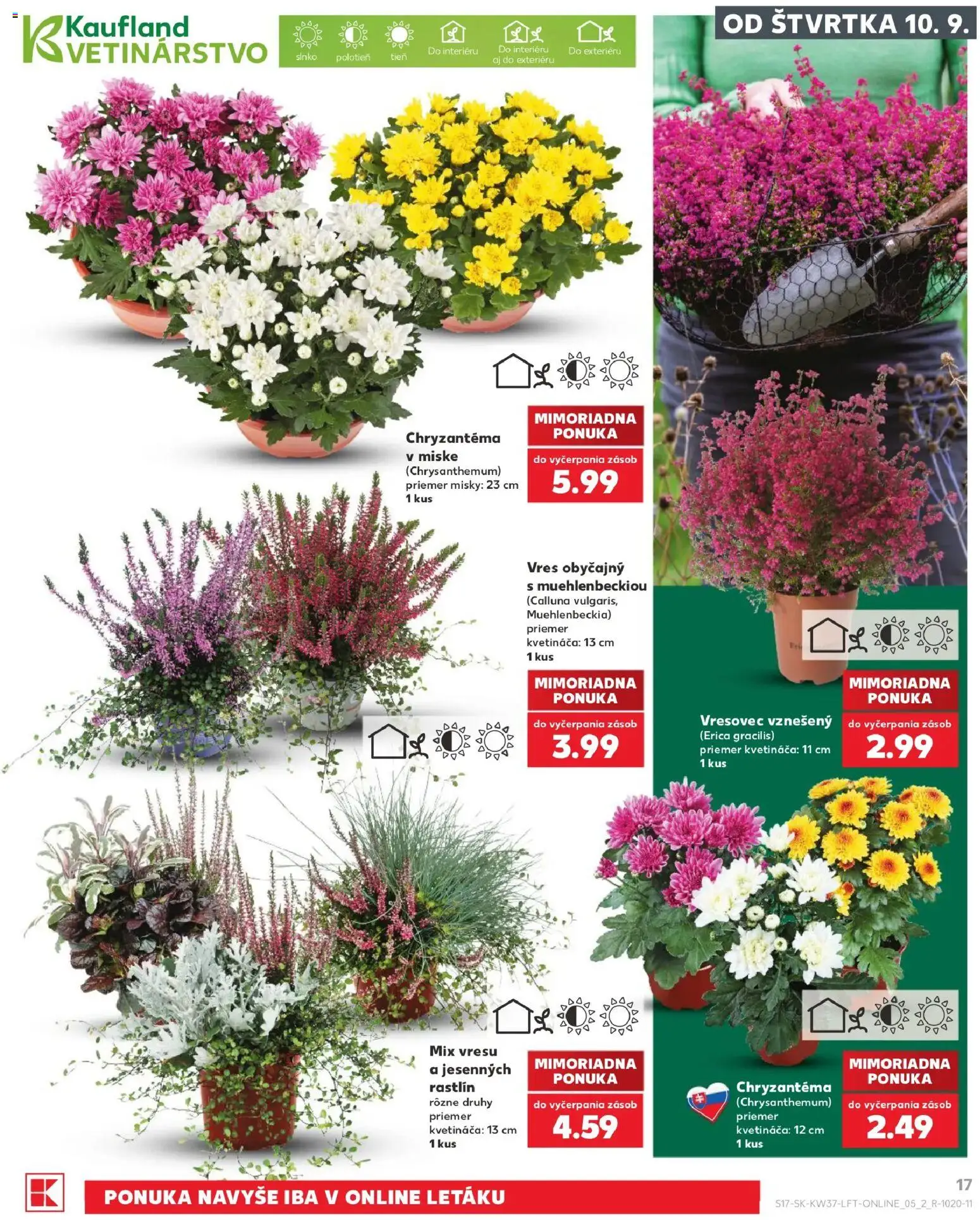 Nové Kaufland akcie – leták je platný od 10.09.2026 | Strana: 17