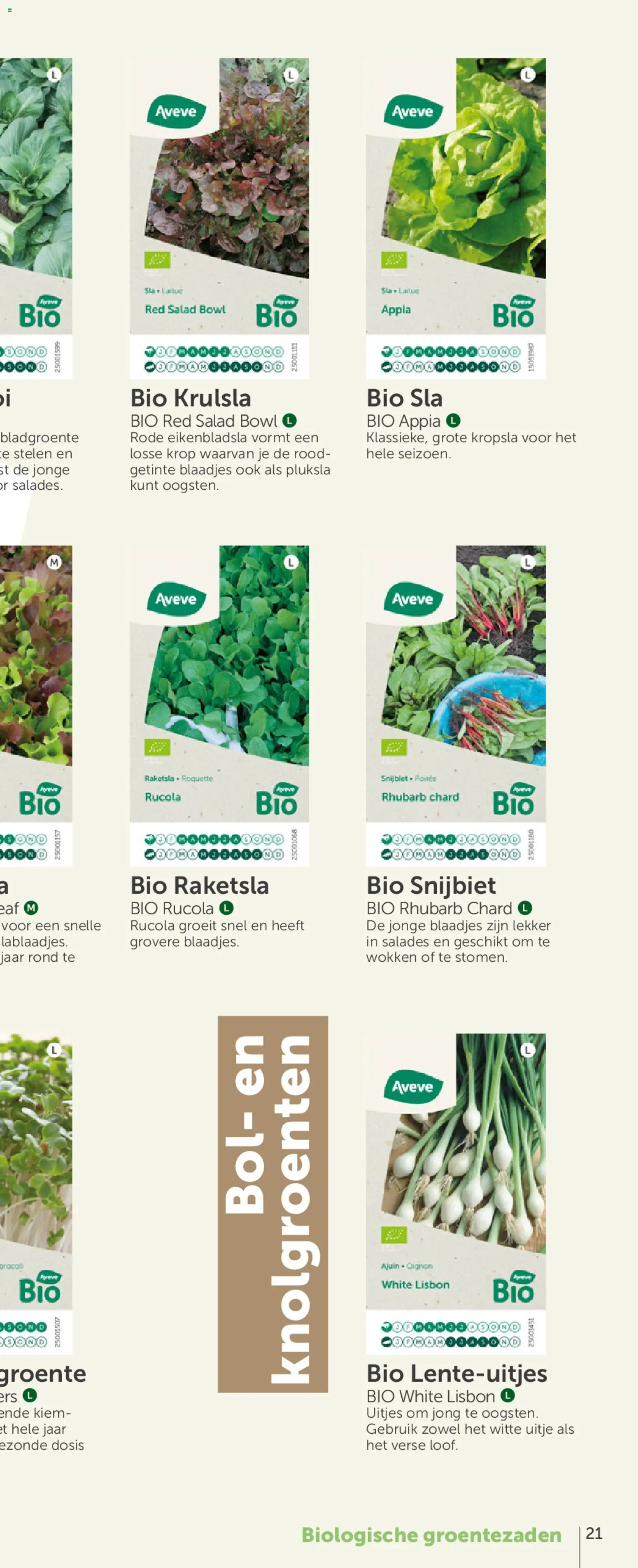 {H1} | Pagina: 41 | Producten: Salades, Bol, Sla, Rucola