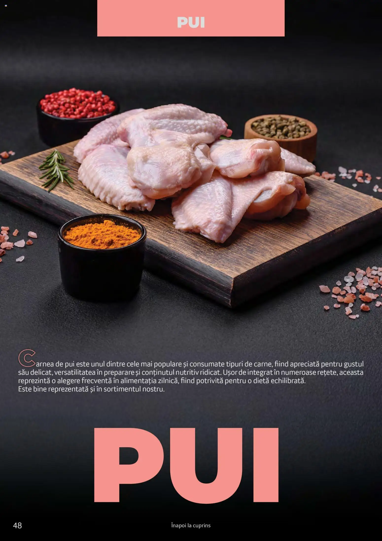 Noul catalog Selgros – valabil de la 25.03.2026 | Pagină: 48 | Produse: Hacıyatmaz Kedi Oyuncağı