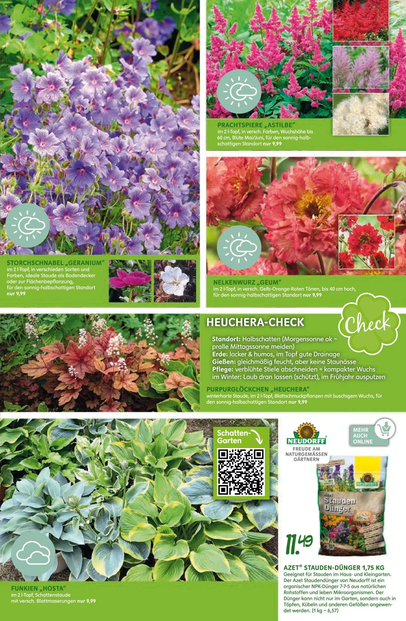 Blumen Risse Prospekt Blumenmarkt – gültig ab 28.05.2026 | Seite: 15