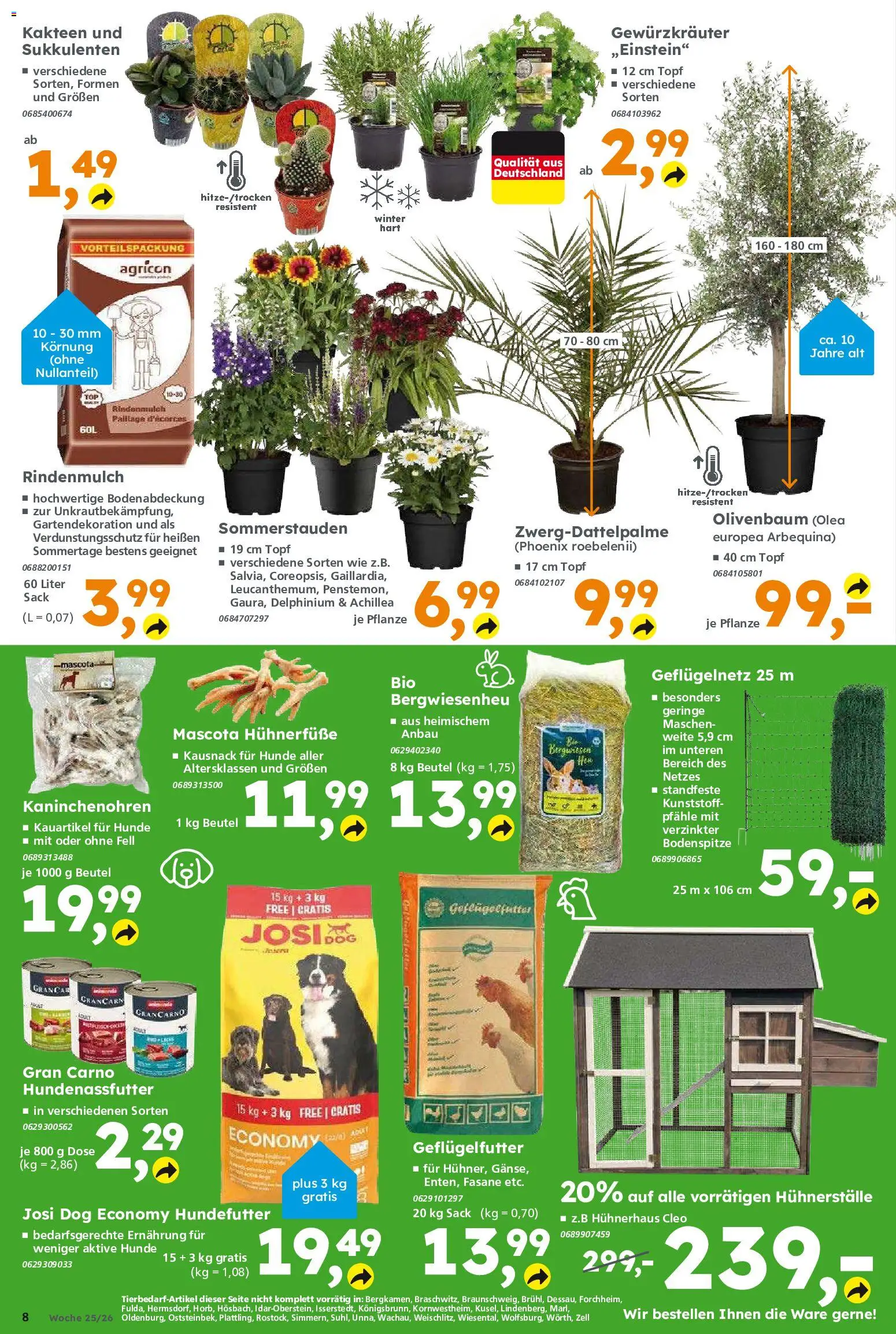 Globus Baumarkt Prospekt – gültig ab 15.06.2026 | Seite: 8