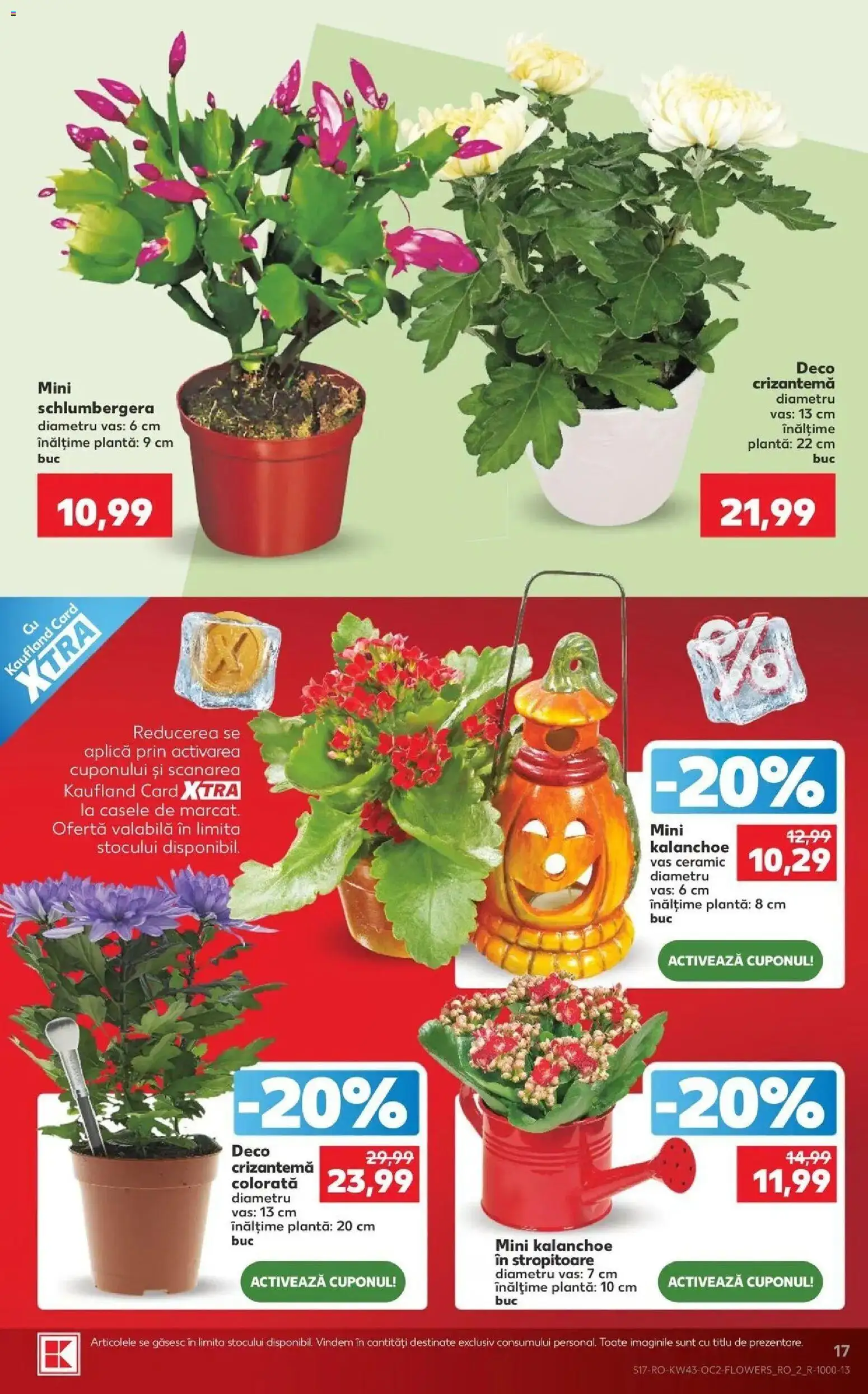 Kaufland Curtea de Argeș 21.10.2026 - Revista si Oferta | Pagină: 17 | Produse: Aplică