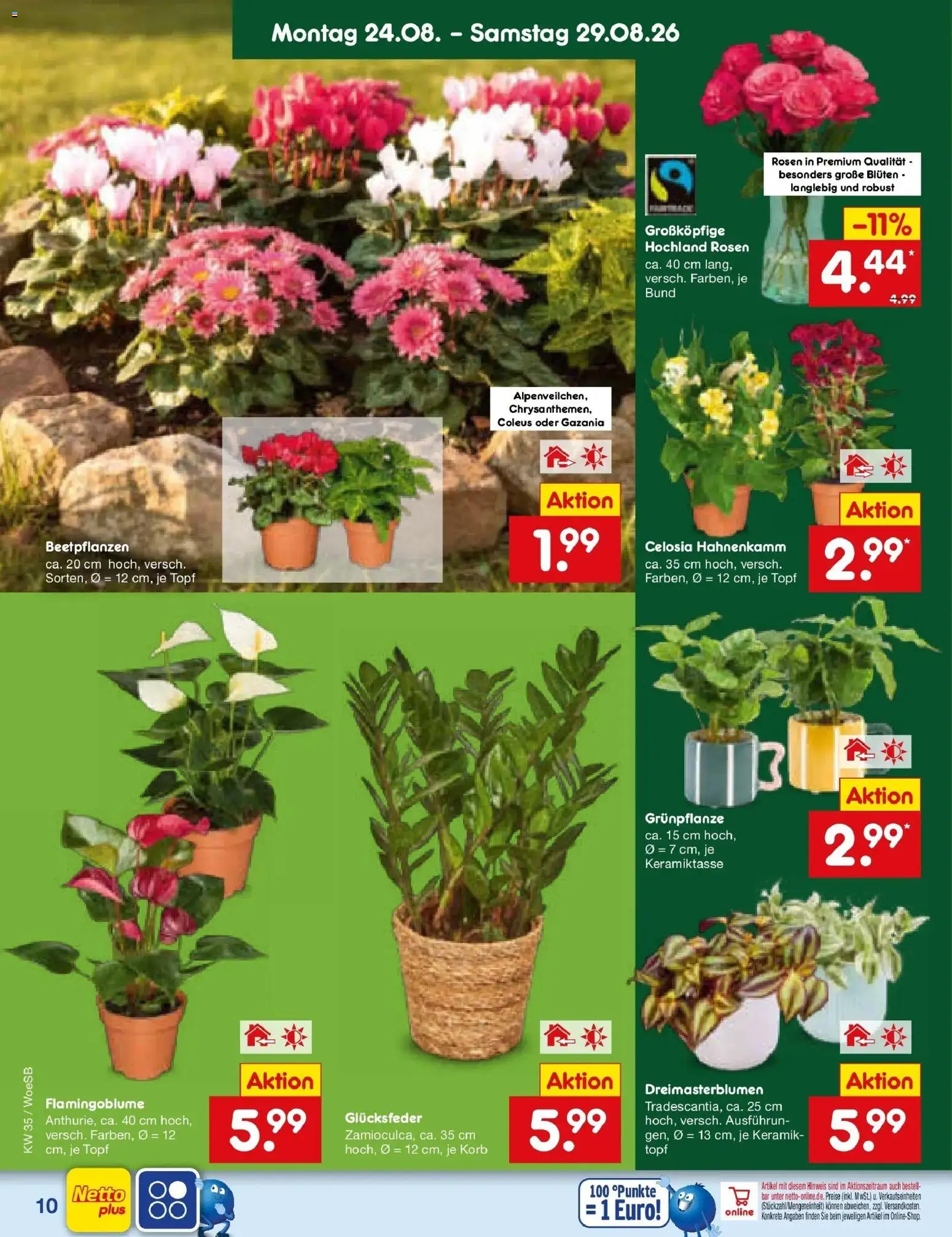 Netto Marken-Discount Prospekt Leonberg – gültig ab 24.08.2026 | Seite: 14 | Produkte: Korb