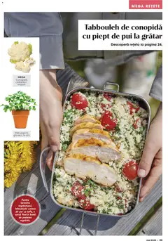 Ofertele Mega Image valabile de la 23.04.2026 | Pagină: 23