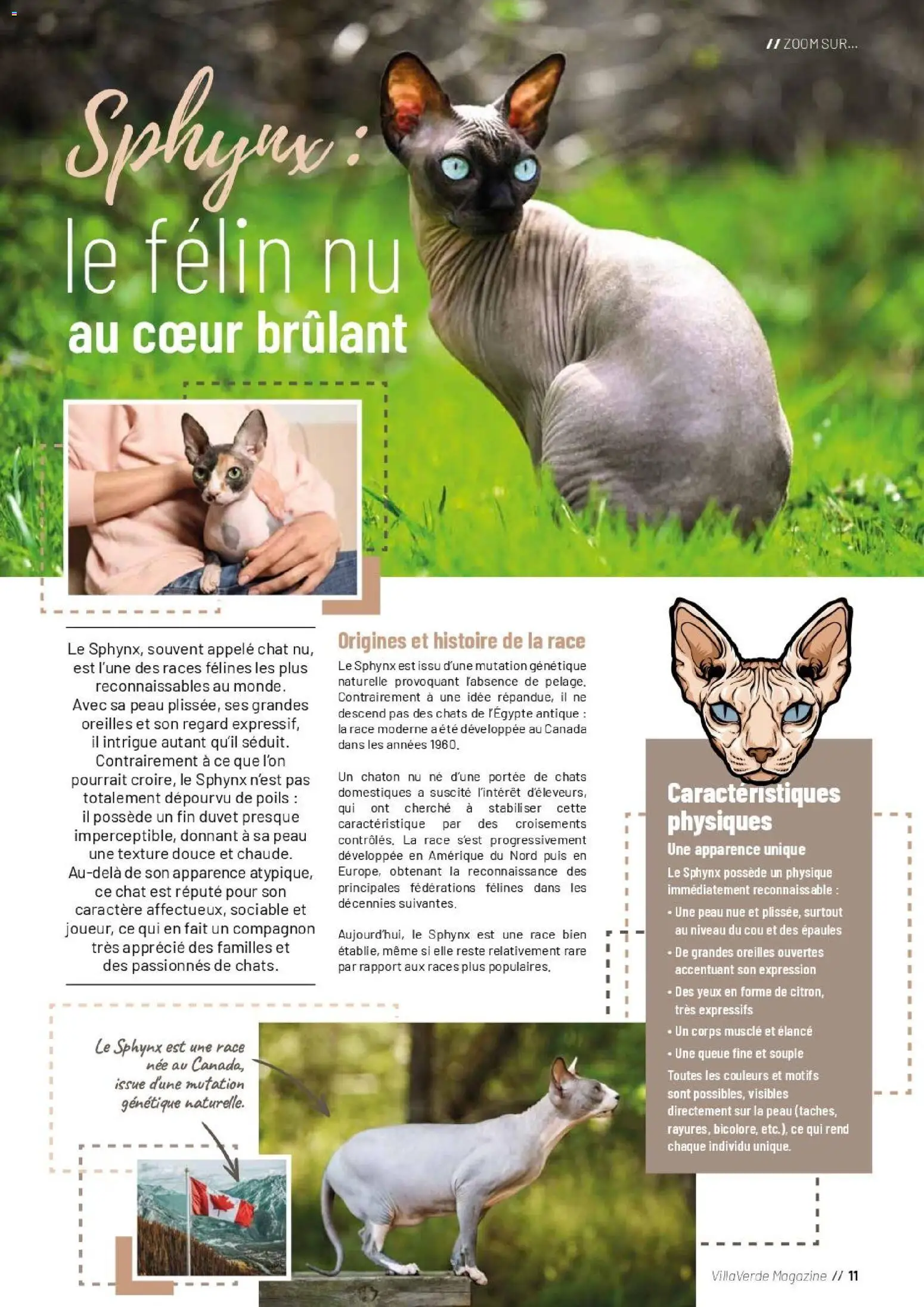 {H1} | Page: 11 | Produits: Magazine