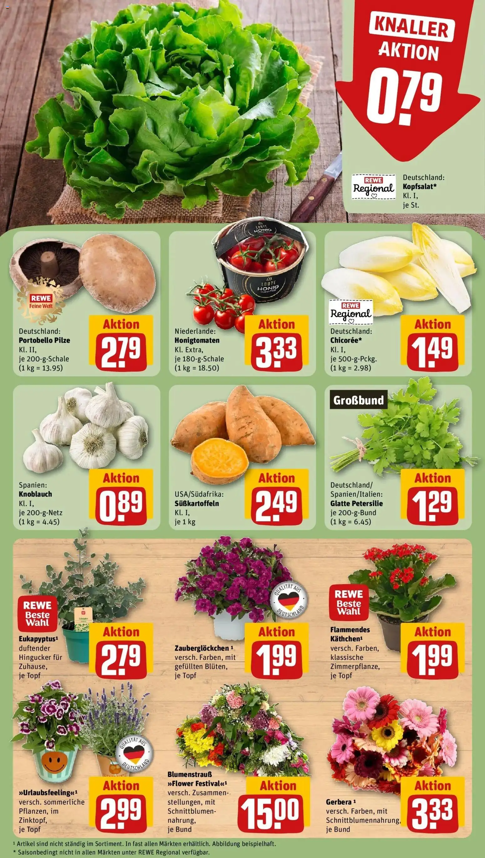 Rewe Prospekt Vaihingen An Der Enz – gültig ab 08.06.2026 | Seite: 7 | Produkte: Knoblauch, Petersilie