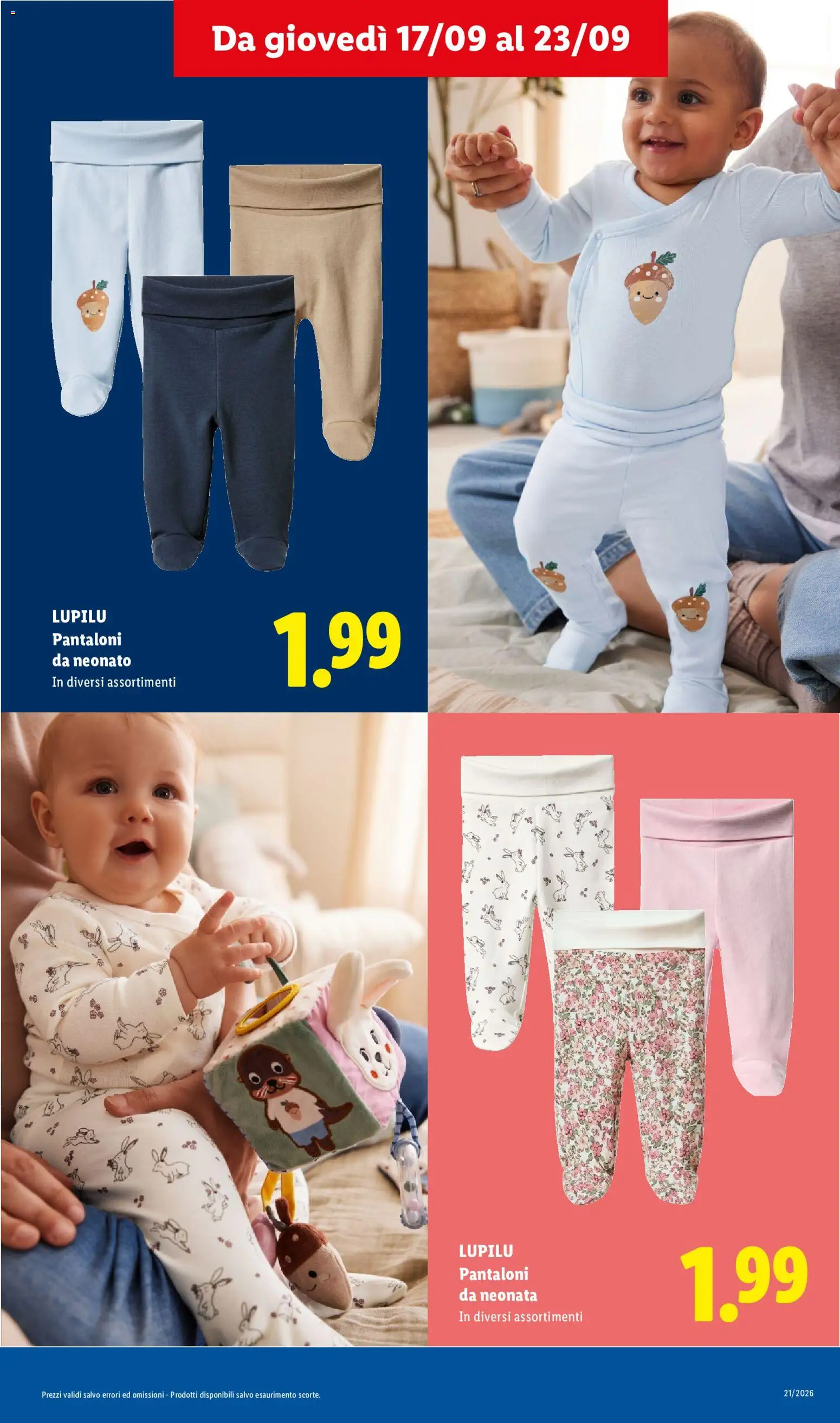 Volantino Lidl del 17/09/2026 | Pagina: 13