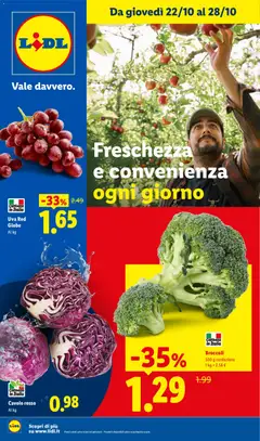 Anteprima del volantino Lidl volantino Fresca e conveniente valido a partire dal 22/10/2026