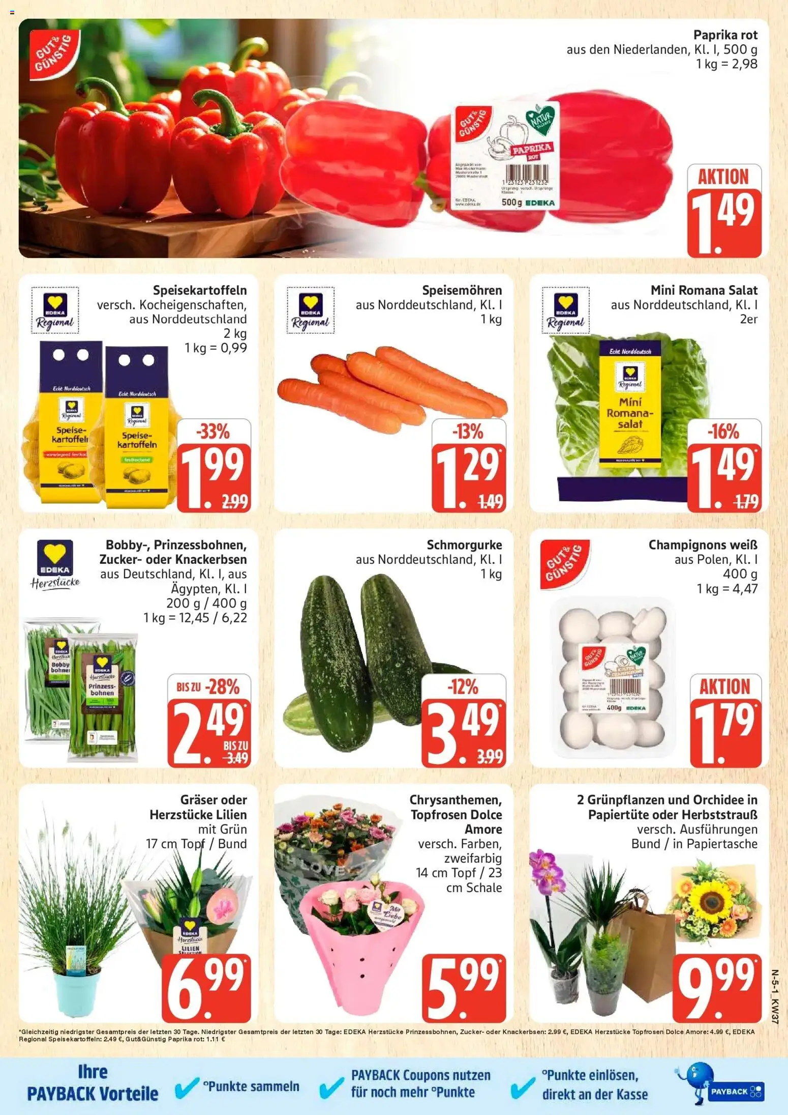 Marktkauf Prospekt Buxtehude (ab 07.09.2026) » Angebote online | Seite: 5 | Produkte: Orchidee, Champignons, Kartoffeln, Paprika