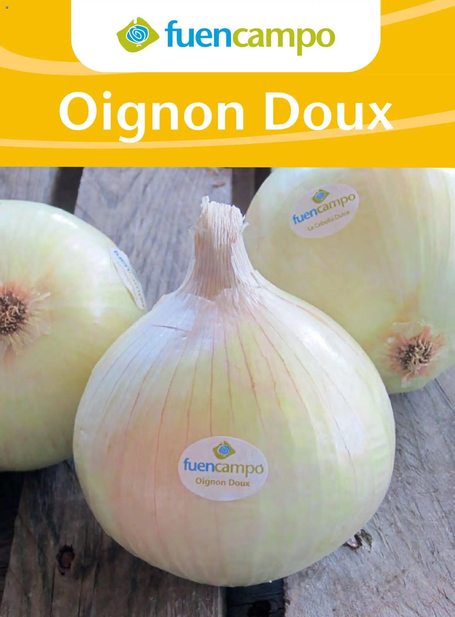 {H1} | Page: 77 | Produits: Oignon