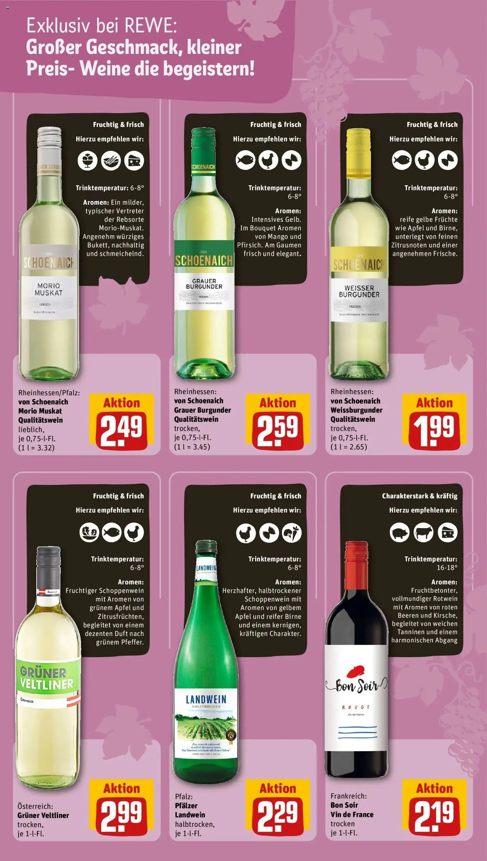 REWE Prospekt ab 17.08.2026 zum Blättern » Angebote | Seite: 16 | Produkte: Rotwein, Duft, Rouge, Mango