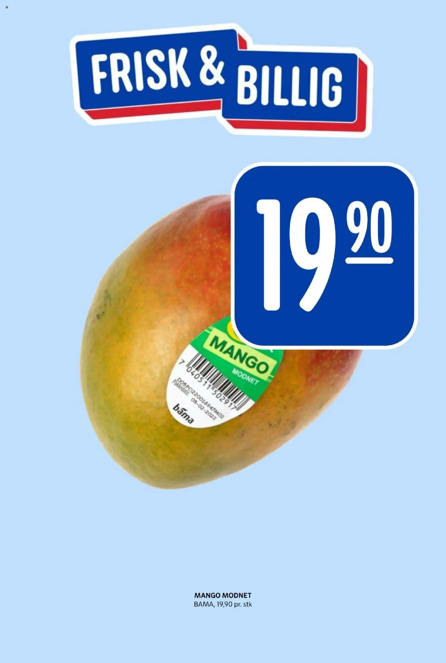{H1} | Side: 6 | Produkter: Mango