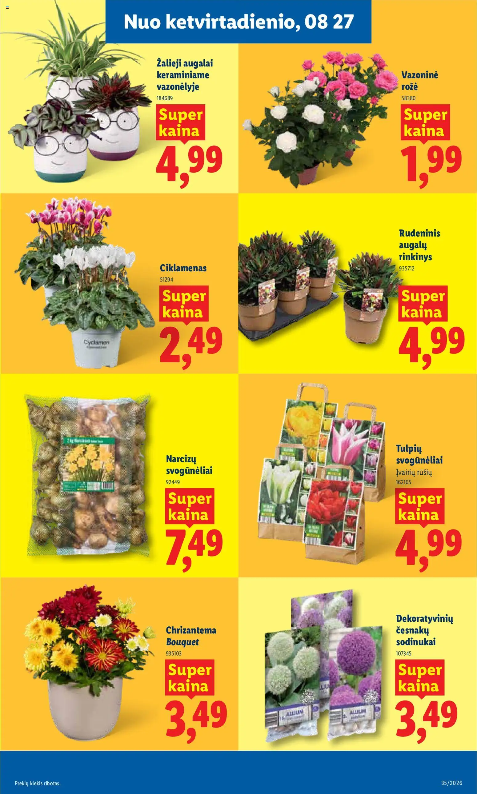 LIDL akcijos nuo 2026.08.24 | Puslapis: 7