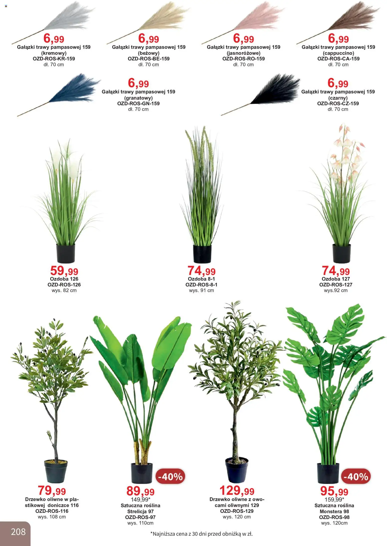 Bodzio Katalog od 01.08.2026 | Strona: 208 | Produkty: Trawy, Cappuccino