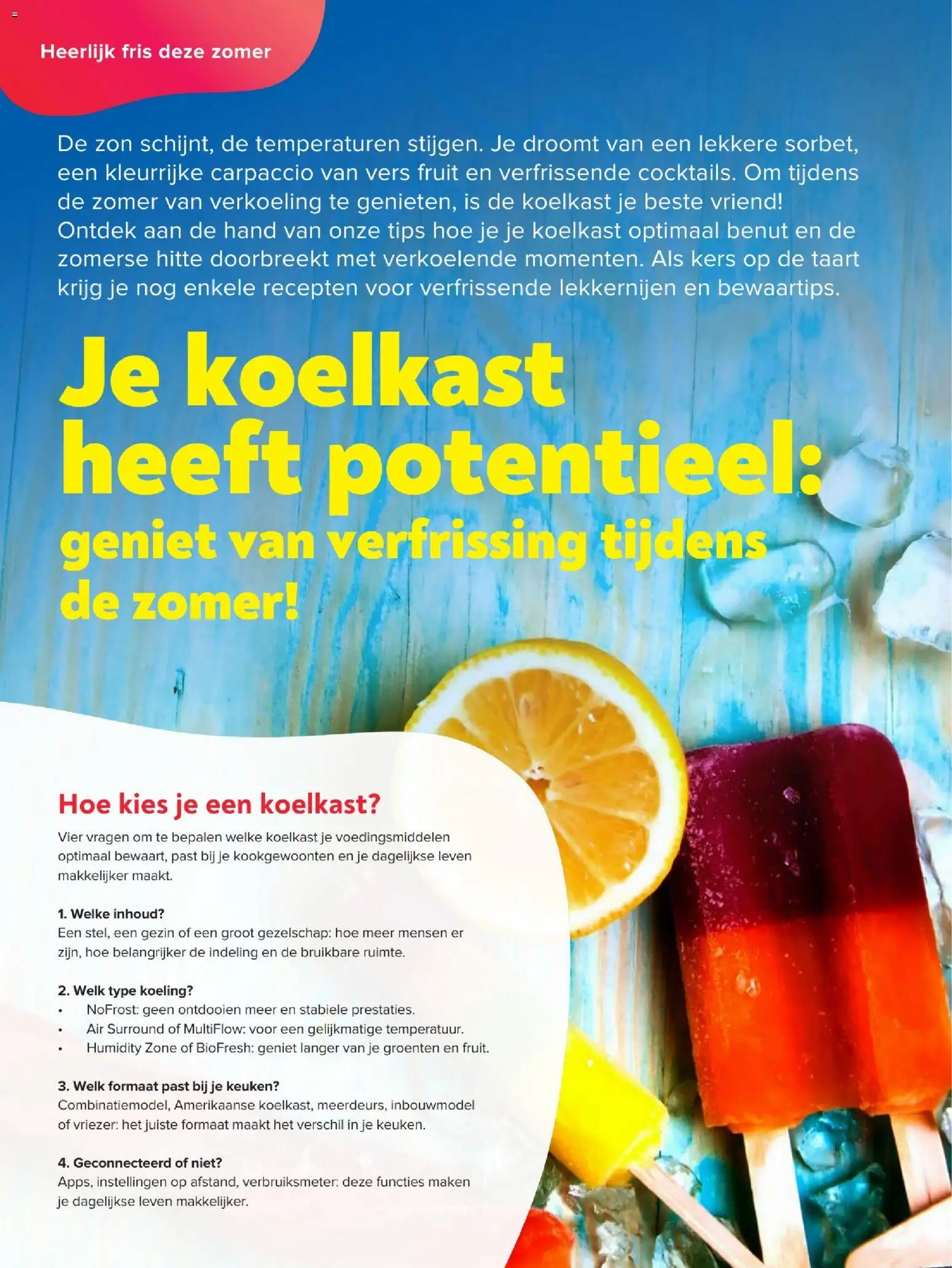 {H1} | Pagina: 14 | Producten: Koelkast, Vriezer, Groenten, Taart