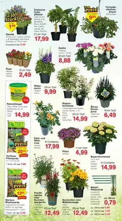 Jawoll Prospekt ab 29.06.2026 gültig | Seite: 4 | Produkte: Pflanzerde, Hortensie, Blumenerde