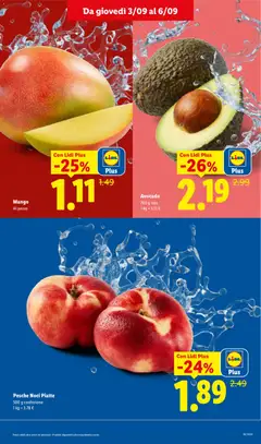 Anteprima del volantino Lidl volantino valido a partire dal 03/09/2026 | Pagina: 15