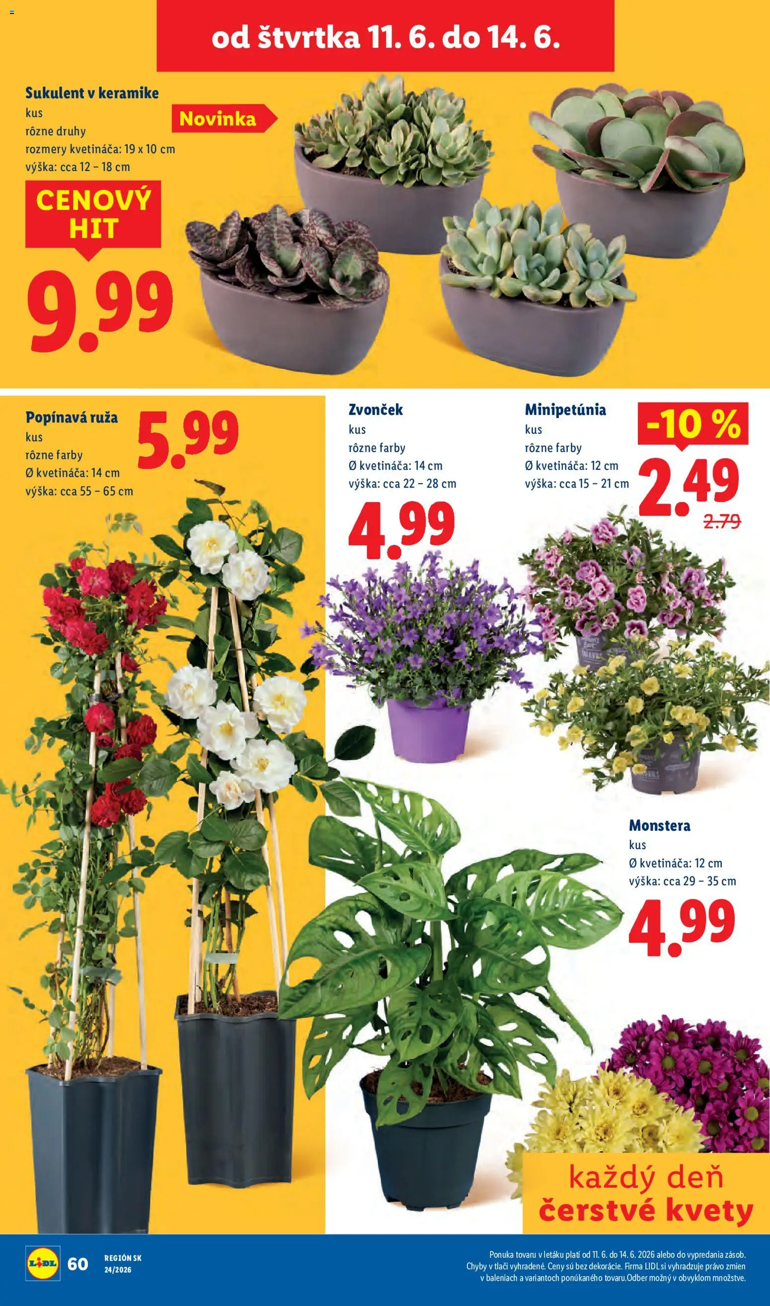 Nové Lidl akcie – leták je platný od 08.06.2026 | Strana: 80 | Produkty: Zvonček, Kvety