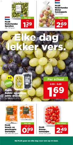 PLUS Snoep-tomaten, PLUS Snoep-tomaten Schaaf 500 gram - Voorbeeld van een folder van Plus, geldig van 16-09-2026 | Pagina: 9
