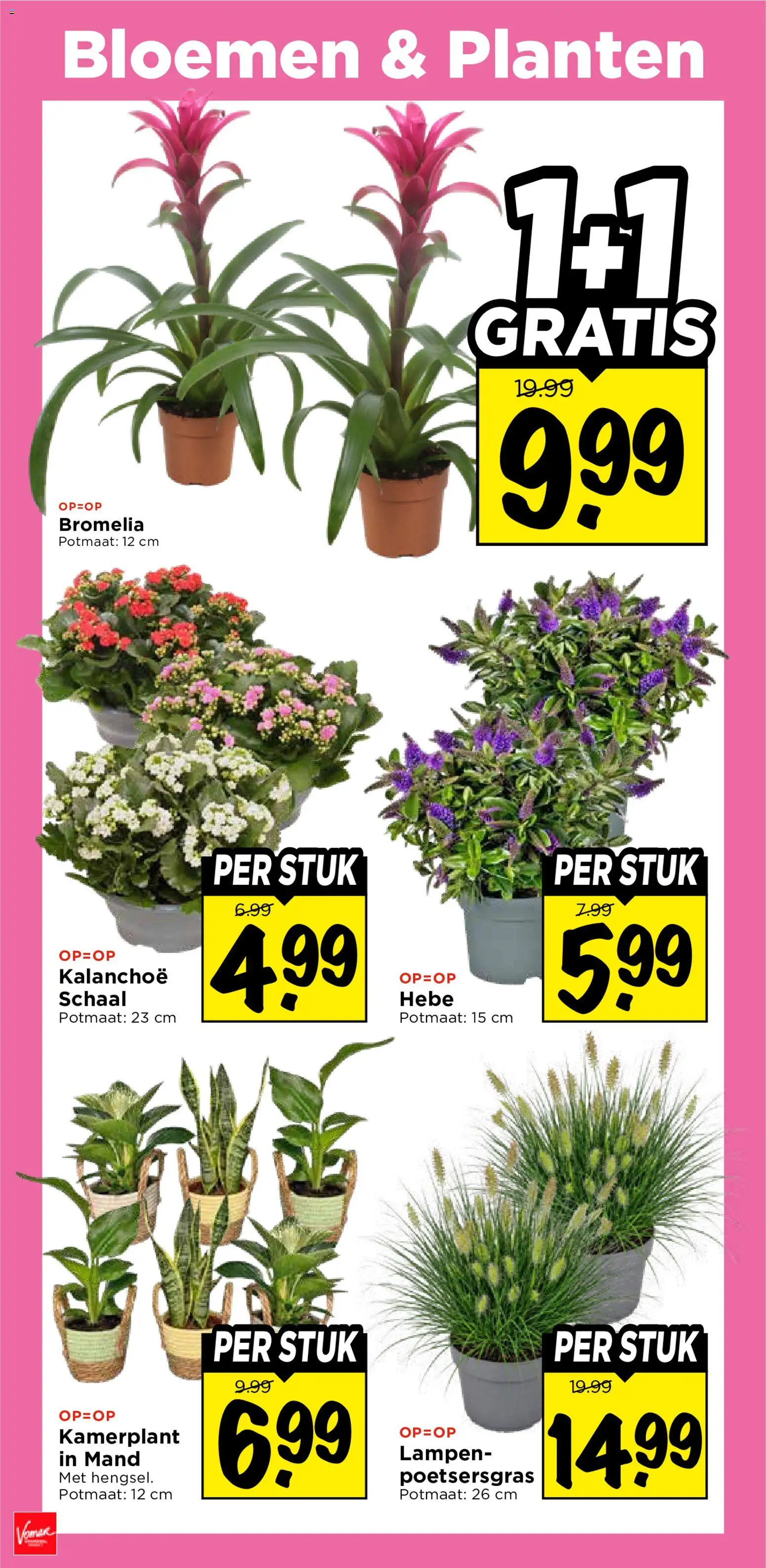 {H1} | Pagina: 31 | Producten: Schaal, Bloemen, Mand