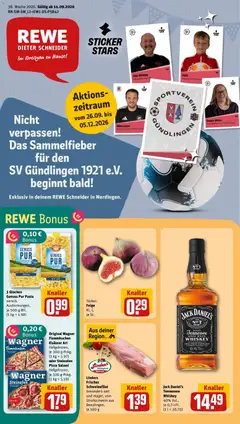 Rewe Prospekt Merdingen ab 14.09.2026 gültig