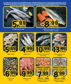Vista previa Cash Fresh folleto válido desde el 28/08/2026 | Página: 4