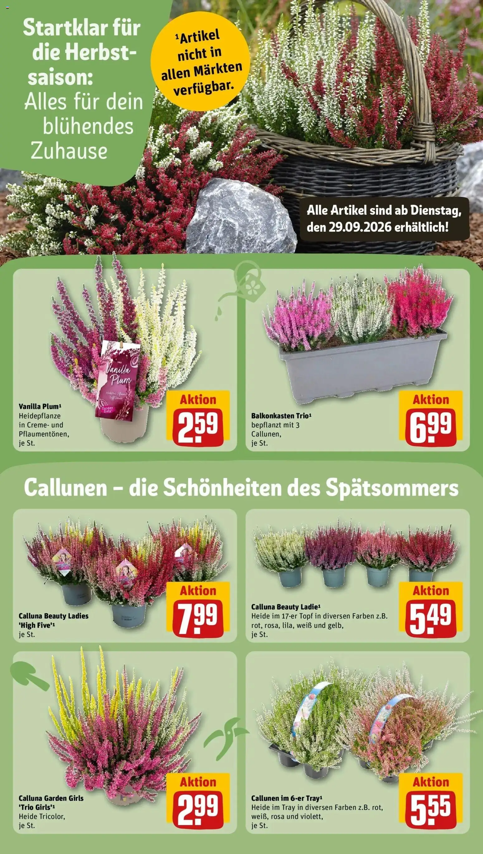 REWE Prospekt ab 28.09.2026 zum Blättern » Angebote | Seite: 14 | Produkte: Creme