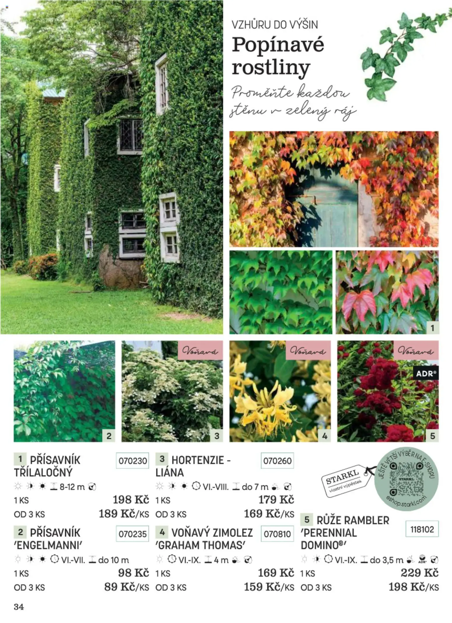 Starkl katalog Podzim 2026 od 01.09.2026 | Strana: 34 | Produkty: Rostliny