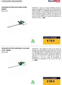 Anteprima del volantino Eurobrico Tagliasiepi catalogo valido a partire dal 23.07.2025 | Pagina: 5 | Prodotti: Tagliasiepi, Cavo, Astuccio