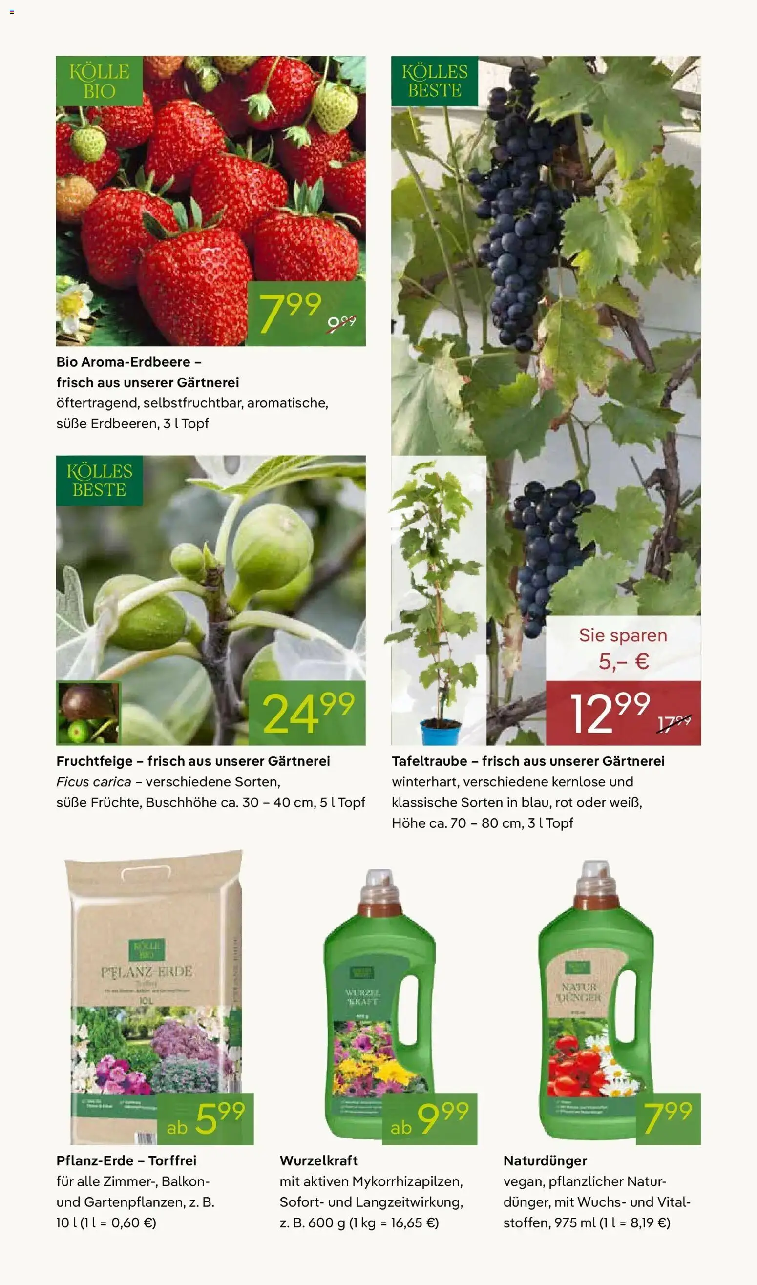 Pflanzen-Kölle Prospekt Muttertag – gültig ab 03.05.2026 | Seite: 11 | Produkte: Pflanzerde